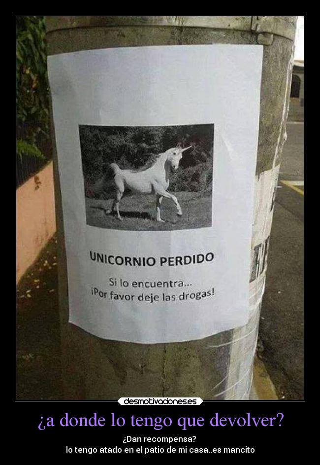 ¿a donde lo tengo que devolver? - ¿Dan recompensa?
lo tengo atado en el patio de mi casa..es mancito