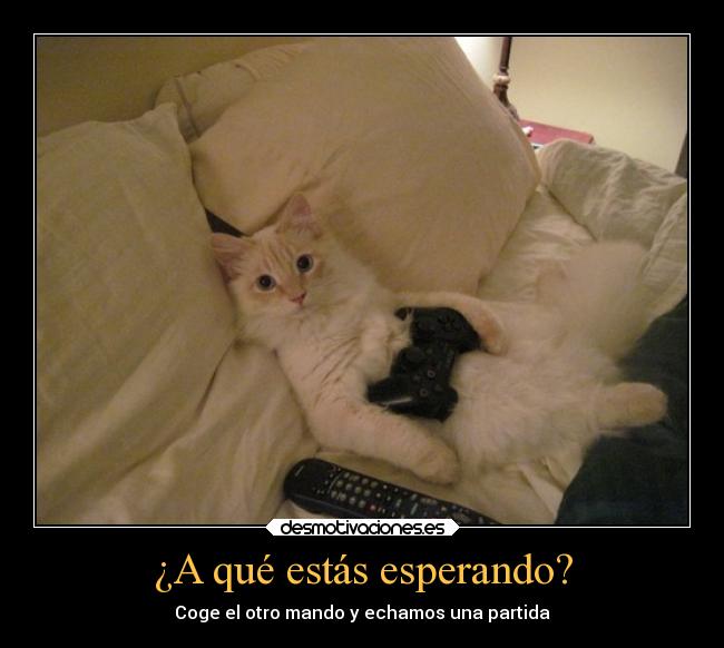 carteles gatoshumor playstation desmotivaciones