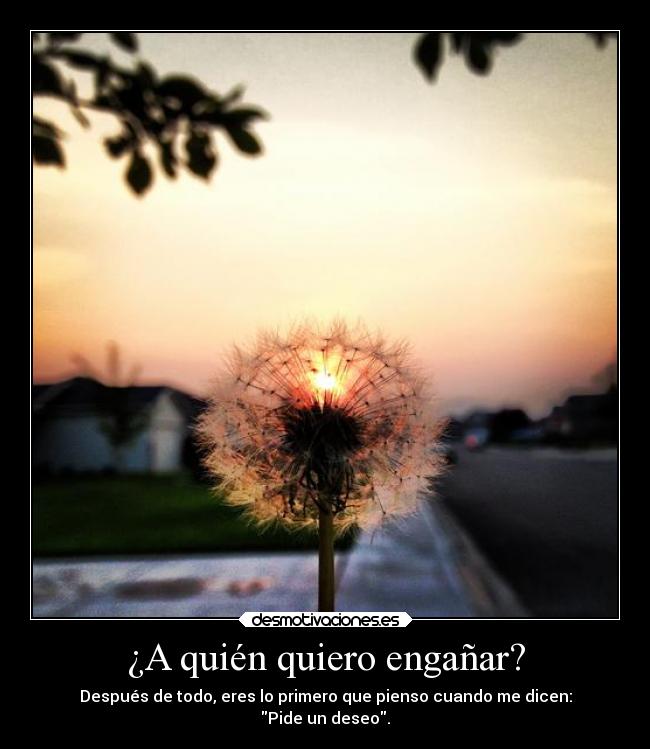 carteles solo diente leon pensar dananconsentida desmotivaciones