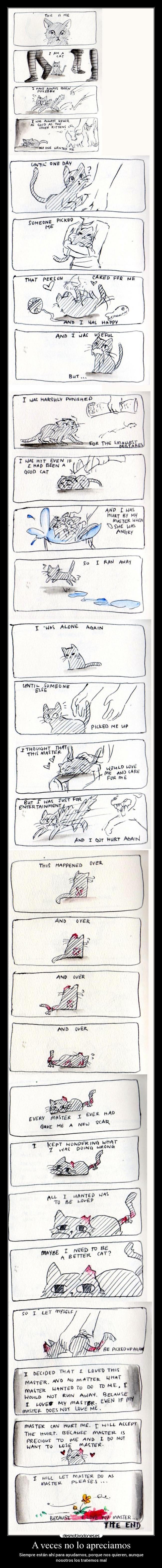 A veces no lo apreciamos - 