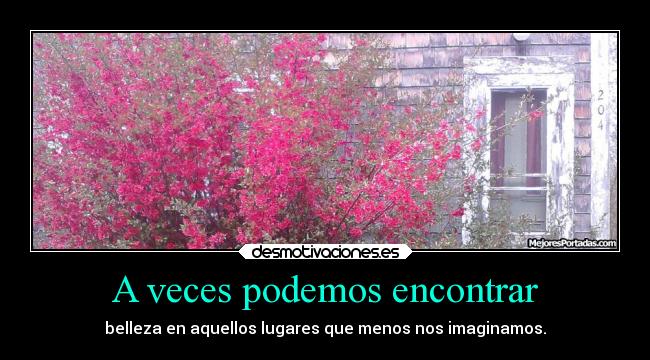 A veces podemos encontrar - belleza en aquellos lugares que menos nos imaginamos.