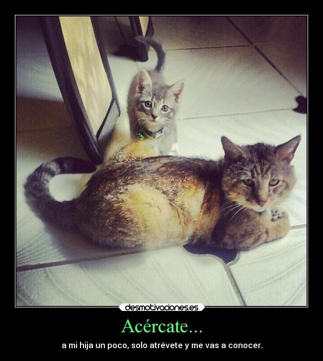 Acércate... - a mi hija un poco, solo atrévete y me vas a conocer.