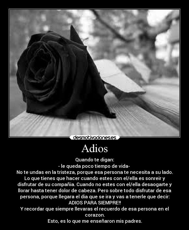 Adios - Quando te digan:
- le queda poco tiempo de vida-
No te undas en la tristeza, porque esa persona te necesita a su lado.
Lo que tienes que hacer cuando estes con el/ella es sonreir y
disfrutar de su compañia. Cuando no estes con el/ella desaogarte y
llorar hasta tener dolor de cabeza. Pero sobre todo disfrutar de esa
persona, porque llegara el dia que se ira y vas a tenerle que decir:
ADIOS PARA SIEMPRE!!
Y recordar que siempre llevaras el recuerdo de esa persona en el
corazon.
Esto, es lo que me enseñaron mis padres.