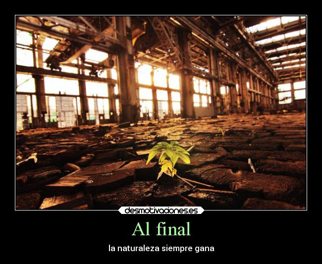 Al final -