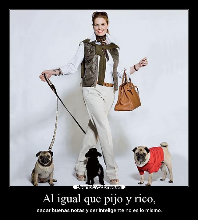 Al igual que pijo y rico, - sacar buenas notas y ser inteligente no es lo mismo.