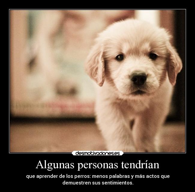 Algunas personas tendrían - 