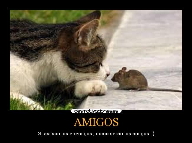 AMIGOS -