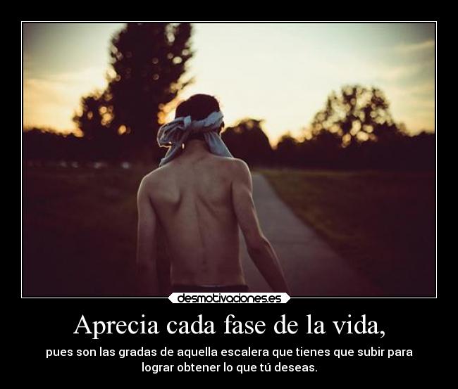 Aprecia cada fase de la vida, -