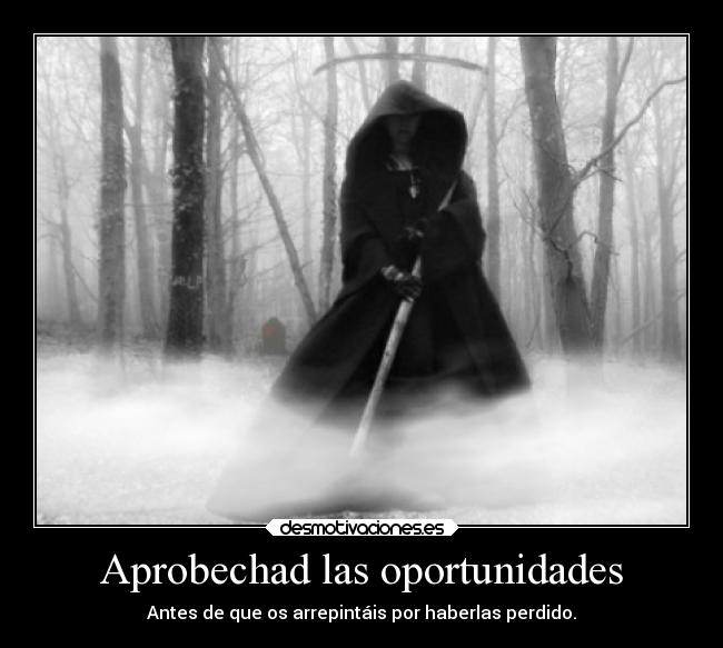 Aprobechad las oportunidades - Antes de que os arrepintáis por haberlas perdido.