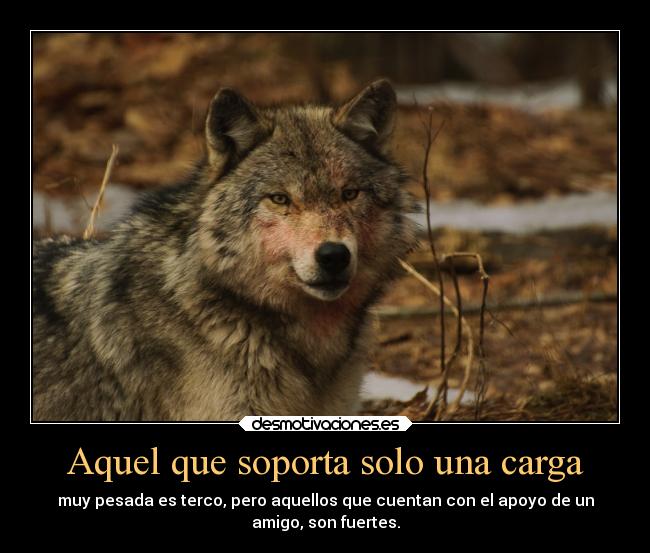 Aquel que soporta solo una carga - 