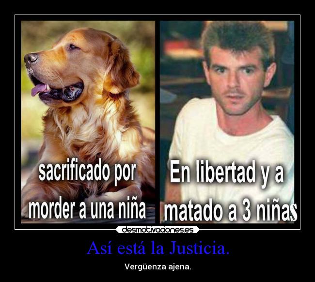 Así está la Justicia. - Vergüenza ajena.