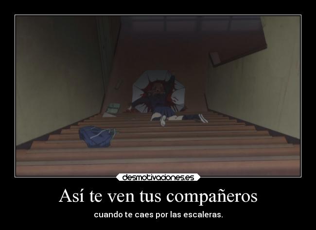 Así te ven tus compañeros - 