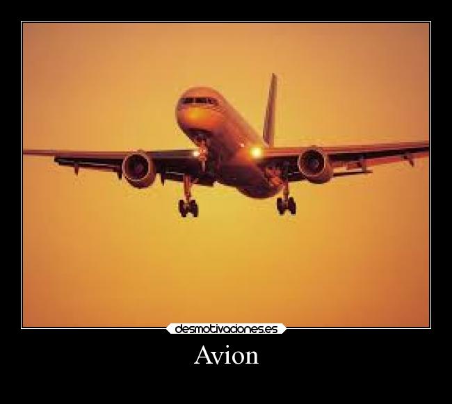 Avion - 