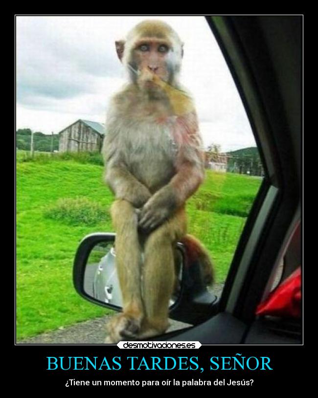 BUENAS TARDES, SEÑOR -