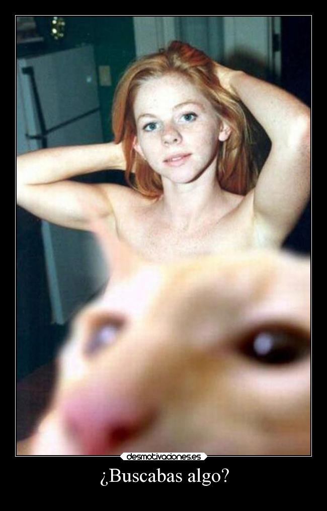 carteles soad desmotivaciones