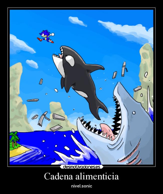 Cadena alimenticia -