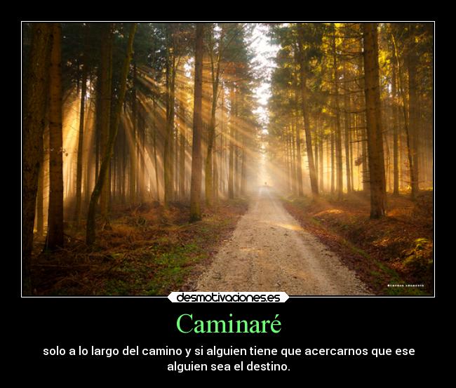 carteles desmotivaciones desmotivaciones