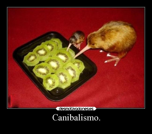 Canibalismo. - 