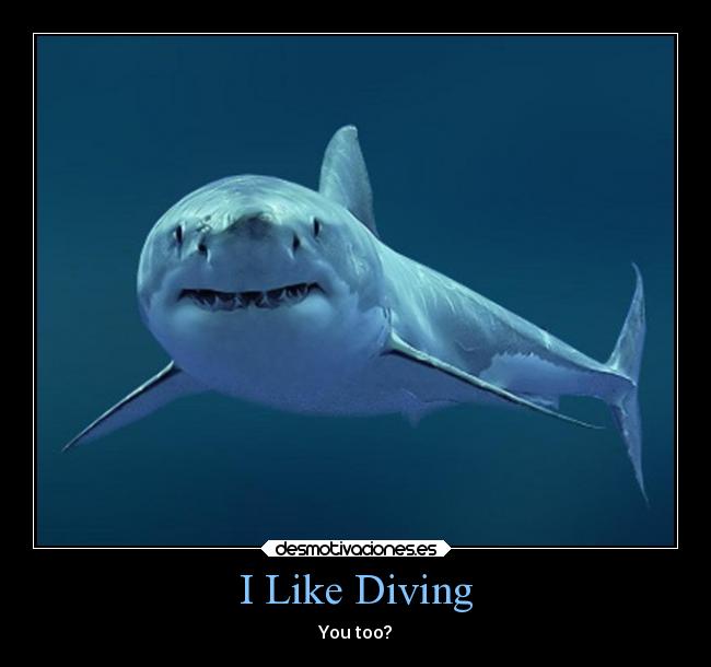 I Like Diving - You too?