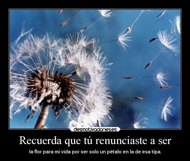 Recuerda que tú renunciaste a ser - 