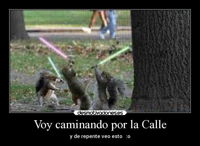 carteles alegria ardillas stars wars desmotivaciones