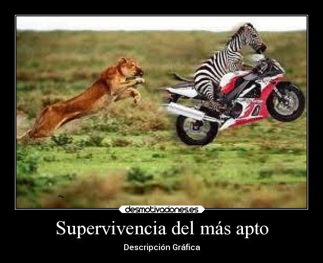 Supervivencia del más apto -