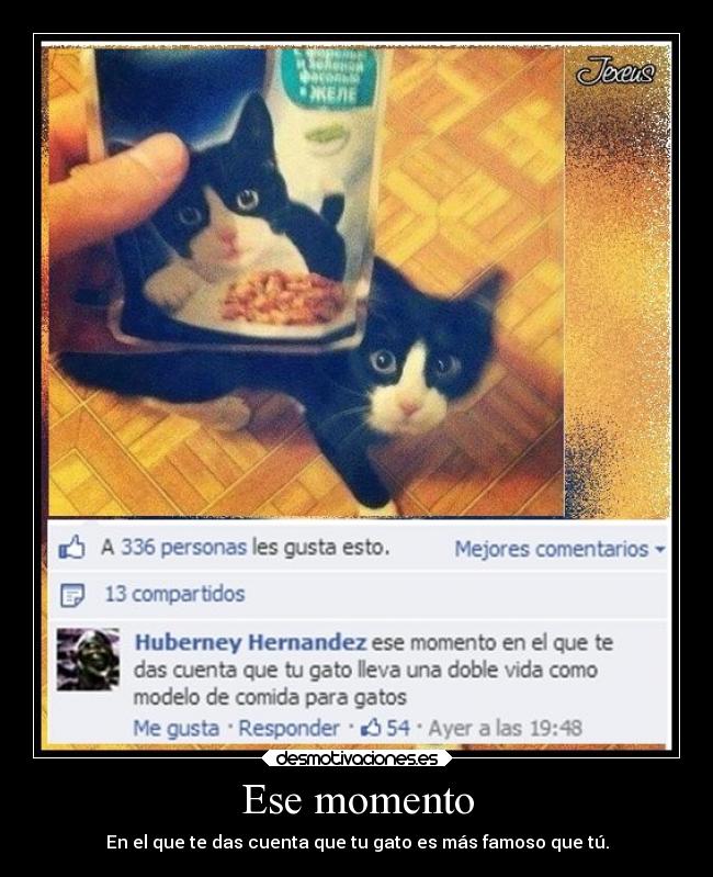 Ese momento - En el que te das cuenta que tu gato es más famoso que tú.