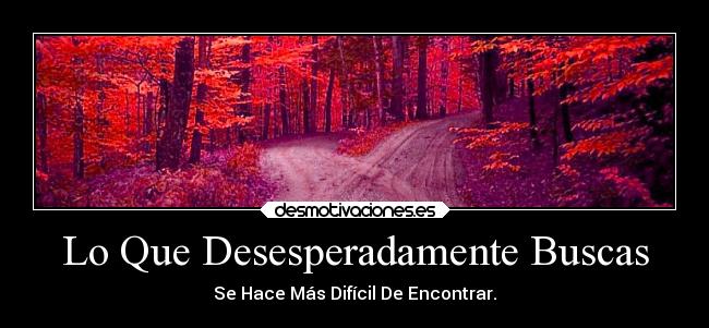 Lo Que Desesperadamente Buscas -