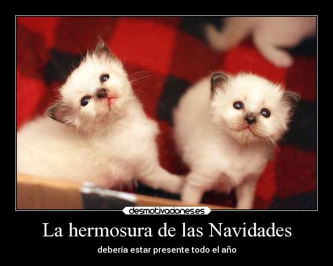 La hermosura de las Navidades - debería estar presente todo el año