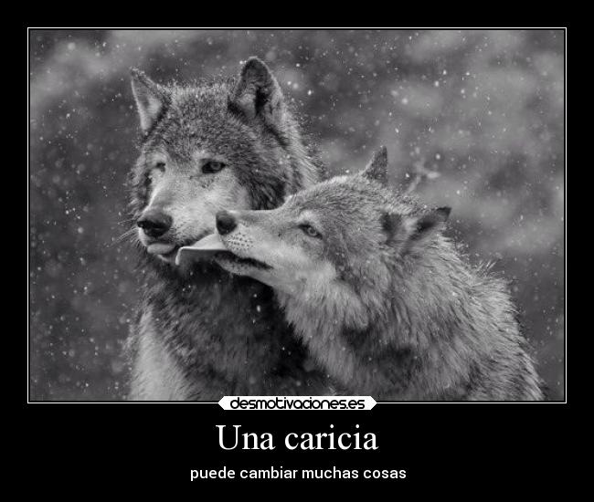 Una caricia - 