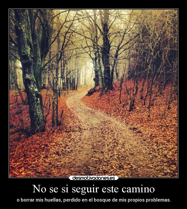 No se si seguir este camino - o borrar mis huellas, perdido en el bosque de mis propios problemas.