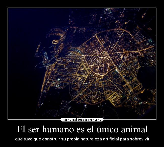 El ser humano es el único animal - 