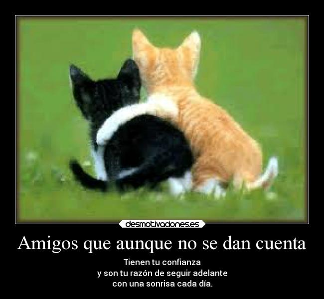 carteles amigos amistad desmotivaciones