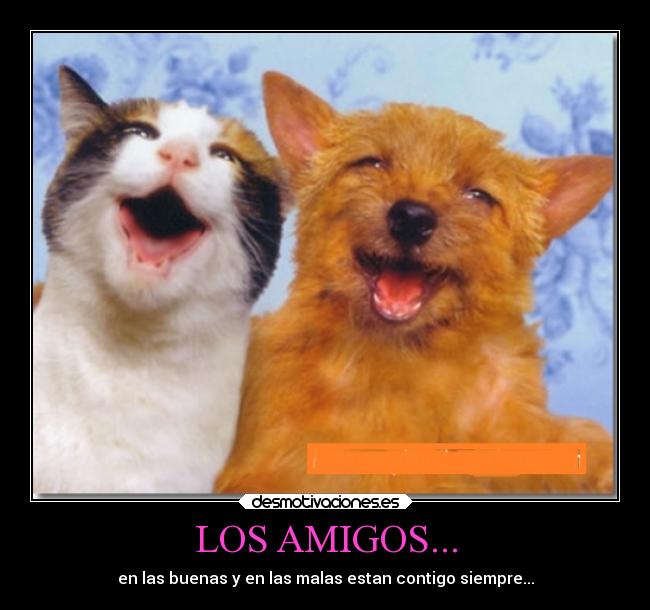 LOS AMIGOS... - en las buenas y en las malas estan contigo siempre...
