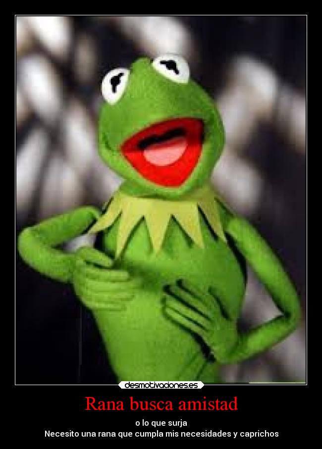 Rana busca amistad - o lo que surja
Necesito una rana que cumpla mis necesidades y caprichos