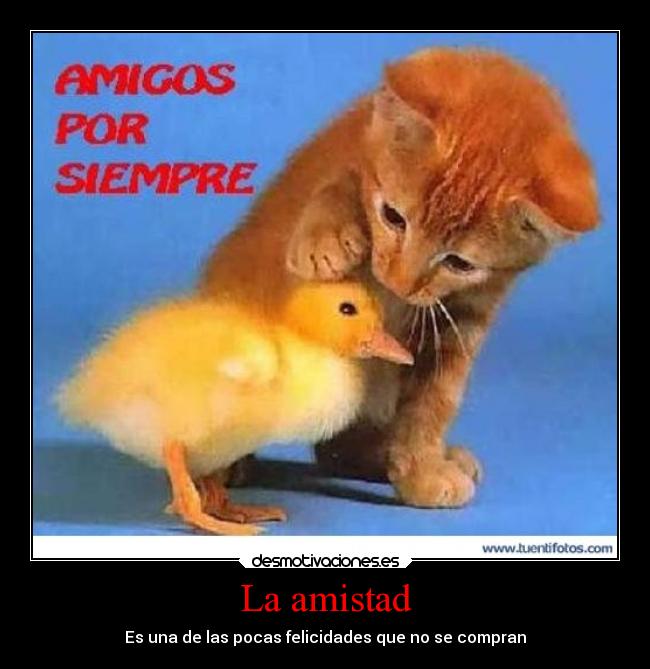 La amistad - Es una de las pocas felicidades que no se compran
