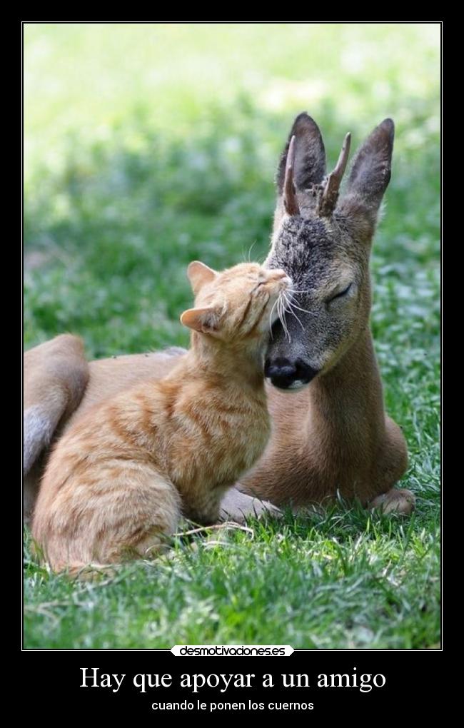 Hay que apoyar a un amigo -