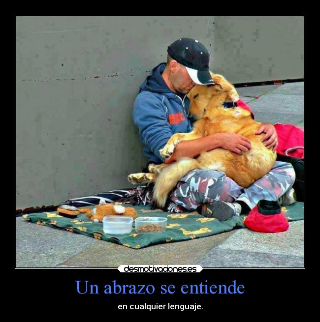 carteles amor abrazos desmotivaciones