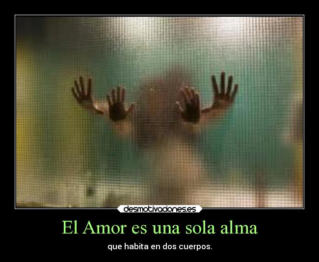 El Amor es una sola alma - 