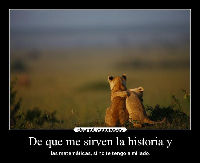 carteles historia amor animales pareja desmotivaciones