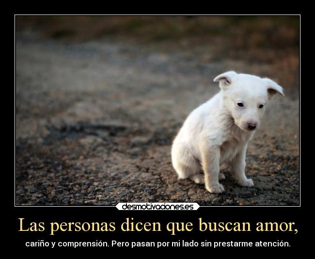 Las personas dicen que buscan amor, - 