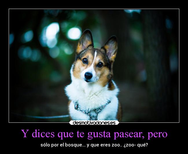 Y dices que te gusta pasear, pero - sólo por el bosque... y que eres zoo.. ¿zoo- qué?