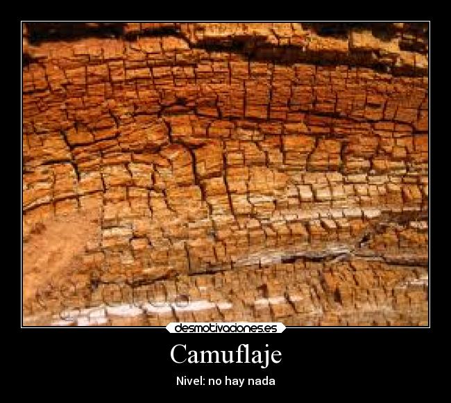 Camuflaje - 