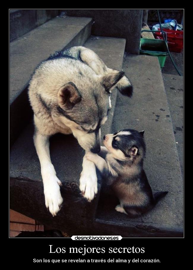 Los mejores secretos - Son los que se revelan a través del alma y del corazón.