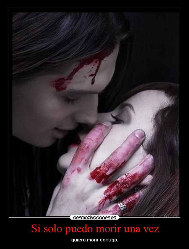 carteles amor desamor amada querer sangre desmotivaciones