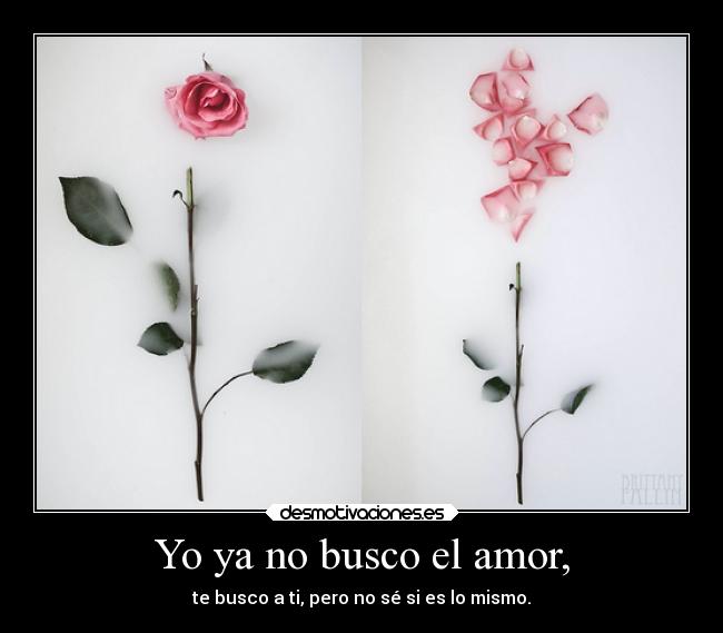 Yo ya no busco el amor, -