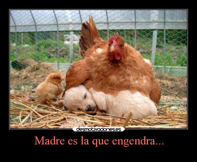 Madre es la que engendra... -