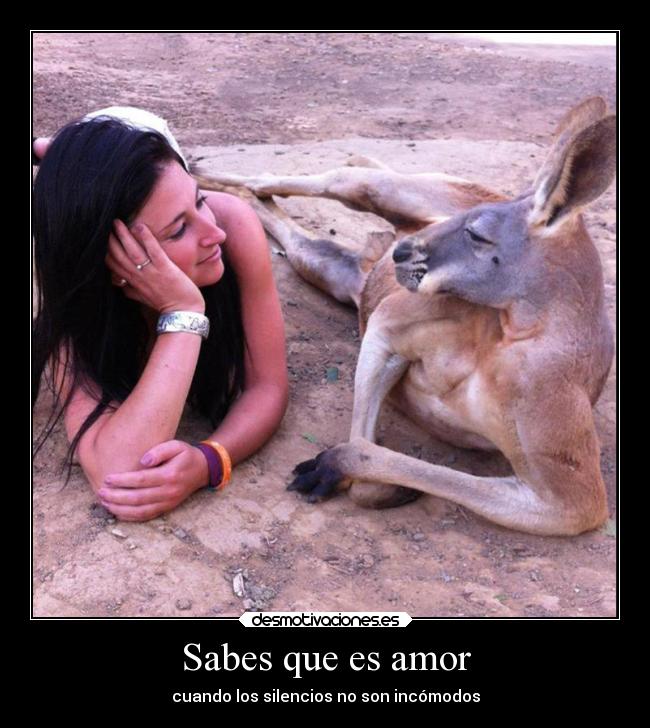 Sabes que es amor -