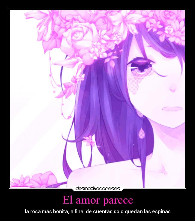 El amor parece - la rosa mas bonita, a final de cuentas solo quedan las espinas
