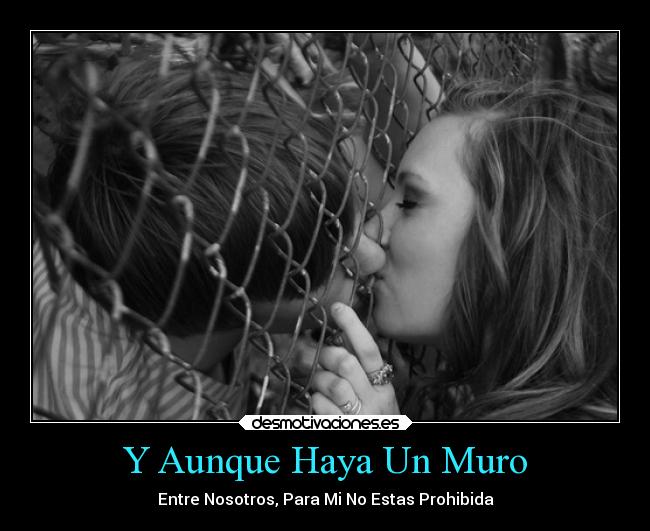 Y Aunque Haya Un Muro - Entre Nosotros, Para Mi No Estas Prohibida